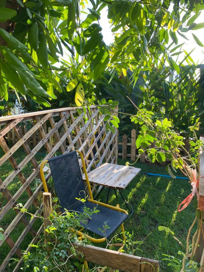 Laoxao Homestay Hoi An Exteriör bild