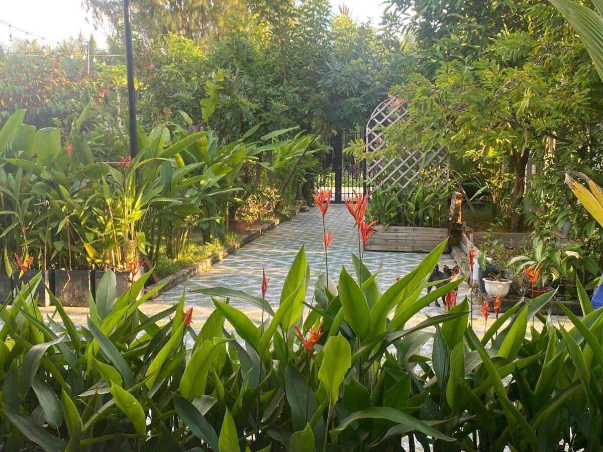 Laoxao Homestay Hoi An Exteriör bild
